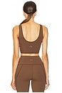 view 3 of 4 Shape Dayton Bra in Carob