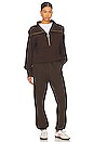 view 4 of 4 Vine Half Zip Pullover in Coffee Bean