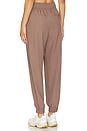 view 3 of 4 Enzo Easy Pant in Deep Taupe