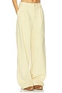 view 2 of 6 PANTALÓN FLORIS in Reed Yellow