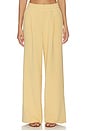 view 1 of 6 The Extra Wide Leg Pant in Sahara Sun