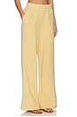 view 2 of 6 The Extra Wide Leg Pant in Sahara Sun