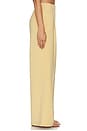 view 3 of 6 The Extra Wide Leg Pant in Sahara Sun