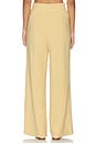 view 4 of 6 The Extra Wide Leg Pant in Sahara Sun