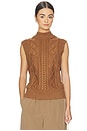 view 1 of 4 Joilette Roll Neck Vest Top in Caramel Pecan