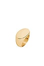 view 1 of 1 Oval Amari Ring in 18k Yellow Gold Plated