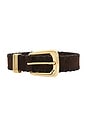 view 3 of 3 Whipstitch Arch Belt in Espresso