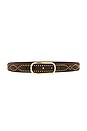 view 1 of 3 Studded Loop Belt in Espresso