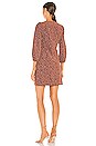 view 3 of 3 VESTIDO RANJA in Nutmeg Multi