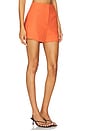 view 2 of 6 Jazmin Short in Persimmon