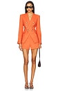 view 5 of 6 Jazmin Short in Persimmon