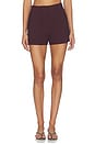 view 1 of 6 Jazmin Short in Raisin