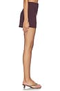 view 3 of 6 Jazmin Short in Raisin