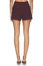 view 4 of 6 Jazmin Short in Raisin