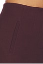 view 6 of 6 Jazmin Short in Raisin