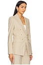 view 3 of 6 Gaya Dickey Jacket in Natural & Gold