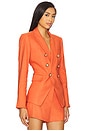 view 2 of 4 Miller Dickey Jacket in Persimmon