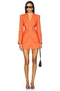 view 4 of 4 Miller Dickey Jacket in Persimmon