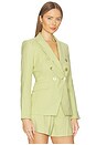 view 3 of 5 Miller Dickey Jacket in Pistachio