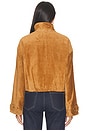 view 5 of 5 CHAQUETA BATEMAN  in Acorn