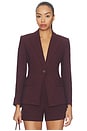 view 1 of 4 CHAQUETA ISAAC in Raisin
