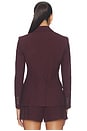 view 3 of 4 CHAQUETA ISAAC in Raisin