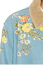view 5 of 5 Leighton Jacket With Cord Collar in Garden Bouquet