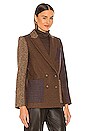 view 3 of 6 Faustine Dickey Jacket in Camel & Blue