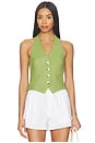 view 1 of 4 Arabella Vest Top in Cactus