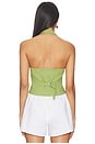view 3 of 4 Arabella Vest Top in Cactus