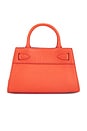 view 3 of 5 MINI DASH バッグ in Persimmon