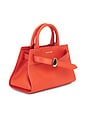 view 4 of 5 MINI DASH バッグ in Persimmon