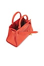 view 5 of 5 MINI DASH バッグ in Persimmon