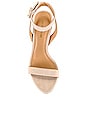 view 4 of 5 Darcelle Single Sole Sandal in Chiffon