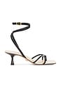 view 1 of 5 Caterina Heel in Black