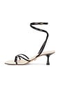 view 5 of 5 Caterina Heel in Black