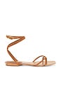 view 1 of 5 Allegra Sandal in Hazelwood