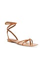 view 2 of 5 Allegra Sandal in Hazelwood