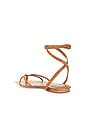 view 3 of 5 Allegra Sandal in Hazelwood