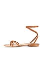 view 5 of 5 Allegra Sandal in Hazelwood