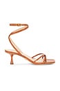 view 1 of 5 Caterina Strappy Sandal in Honey