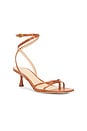 view 2 of 5 Caterina Strappy Sandal in Honey