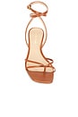view 4 of 5 Caterina Strappy Sandal in Honey