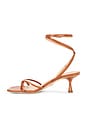 view 5 of 5 Caterina Strappy Sandal in Honey