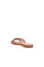 view 3 of 5 Maris Jelly Sandal in Persimmon