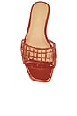 view 4 of 5 Maris Jelly Sandal in Persimmon