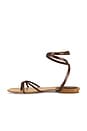 view 5 of 5 Allegra Sandal in Cedar