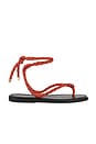 view 1 of 5 Carmina Cord Sandal in Persimmon