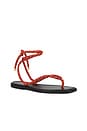 view 2 of 5 Carmina Cord Sandal in Persimmon
