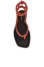 view 4 of 5 Carmina Cord Sandal in Persimmon